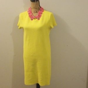 Kate Spade knit dress with THAT collar detail!!!